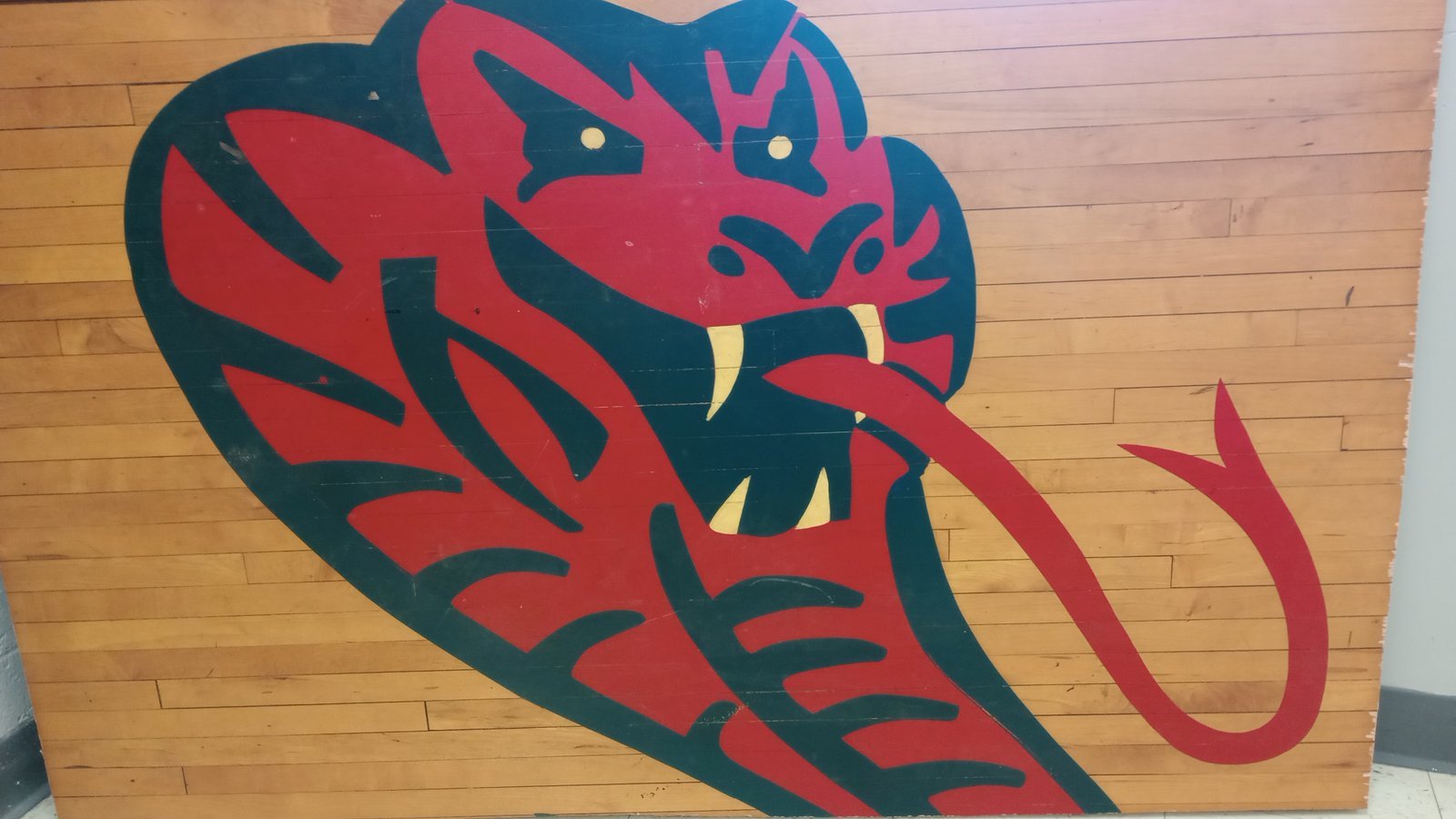 Red and teal cobra mascot on gymnasium floor