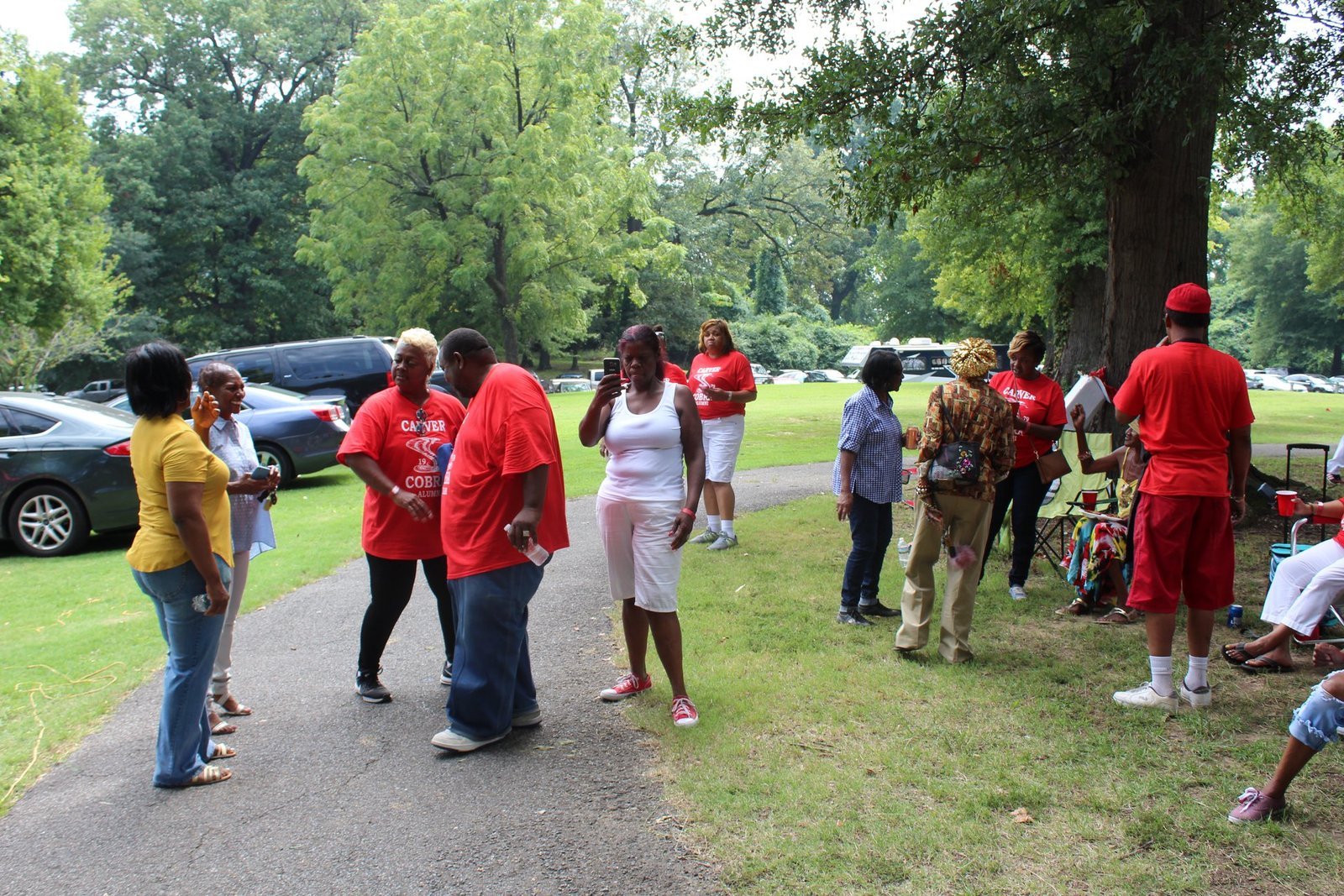Alumni gathering at outdoor park event